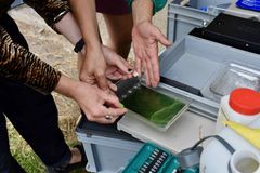 202607_SGMK_Homemade_0087.jpg